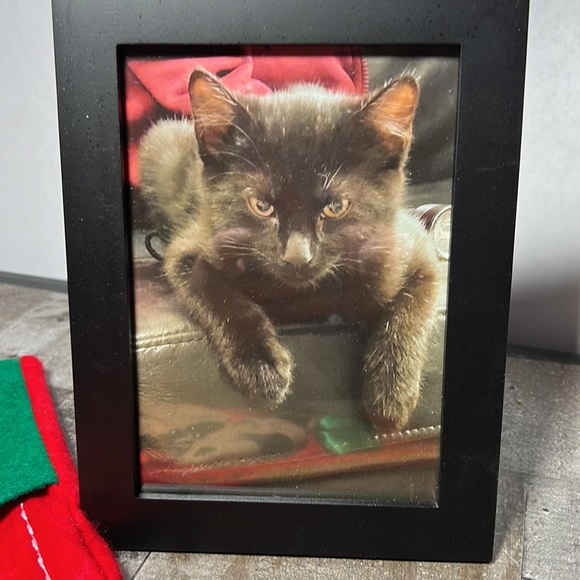 Cat Lovers Assortment 2 pictures and 1 Cat Christmas Stocking - Picture 2 of 5